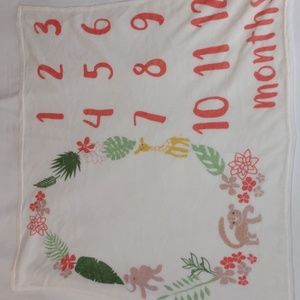 Baby Girl Milestone Blanket
